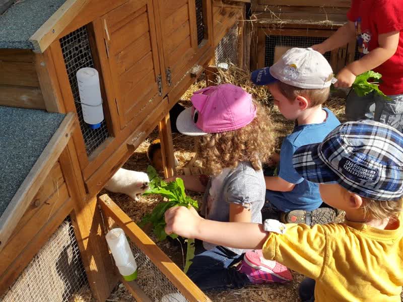 Tierli Spielgruppe